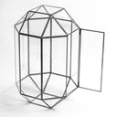 Cam Fanus | Geometrik Teraryum