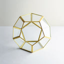Cam Fanus | Geometrik Teraryum