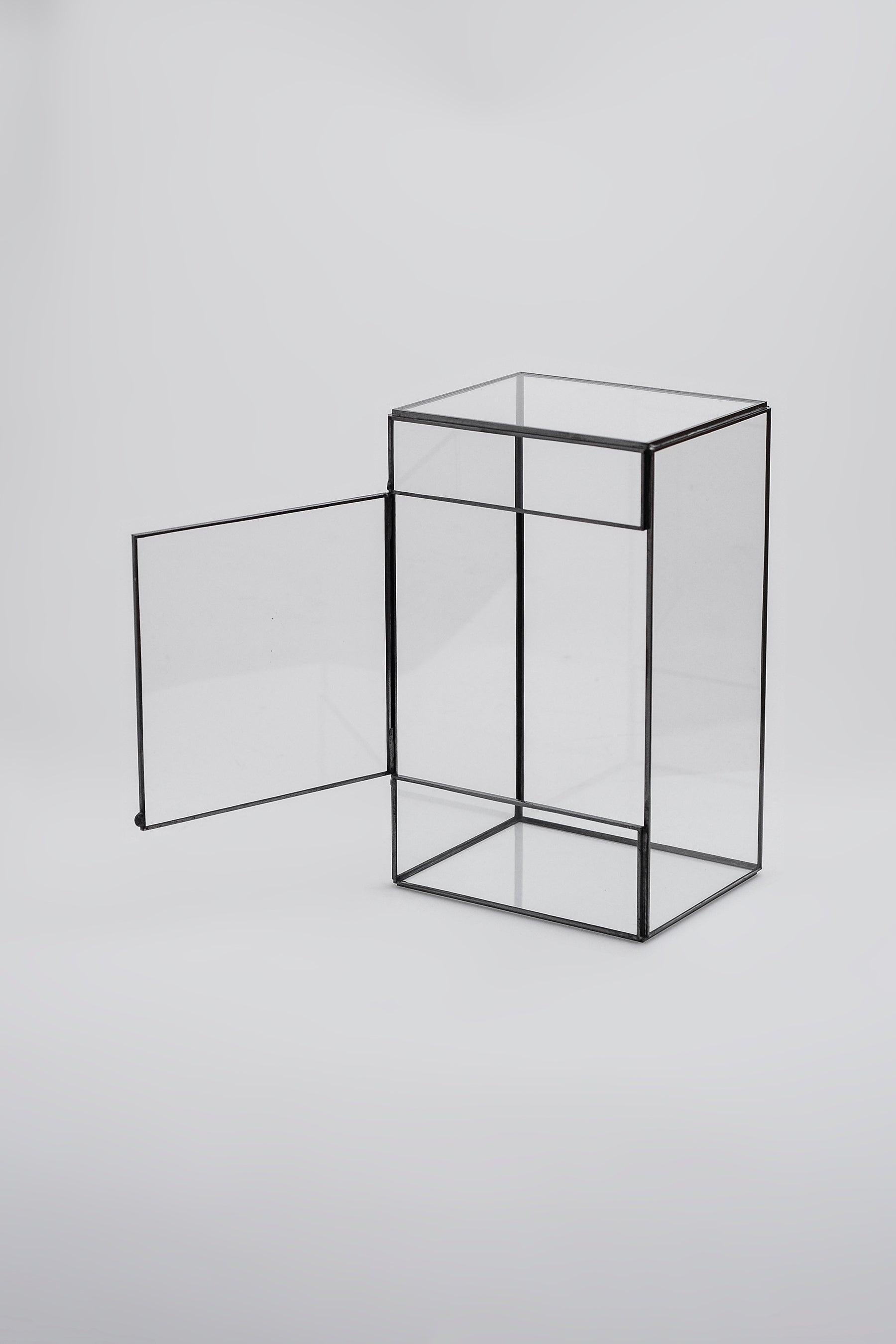 Cam Fanus | Geometrik Teraryum