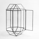 Cam Fanus | Geometrik Teraryum