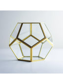 Cam Fanus | Geometrik Teraryum