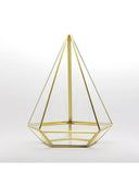 Cam Fanus | Geometrik Teraryum