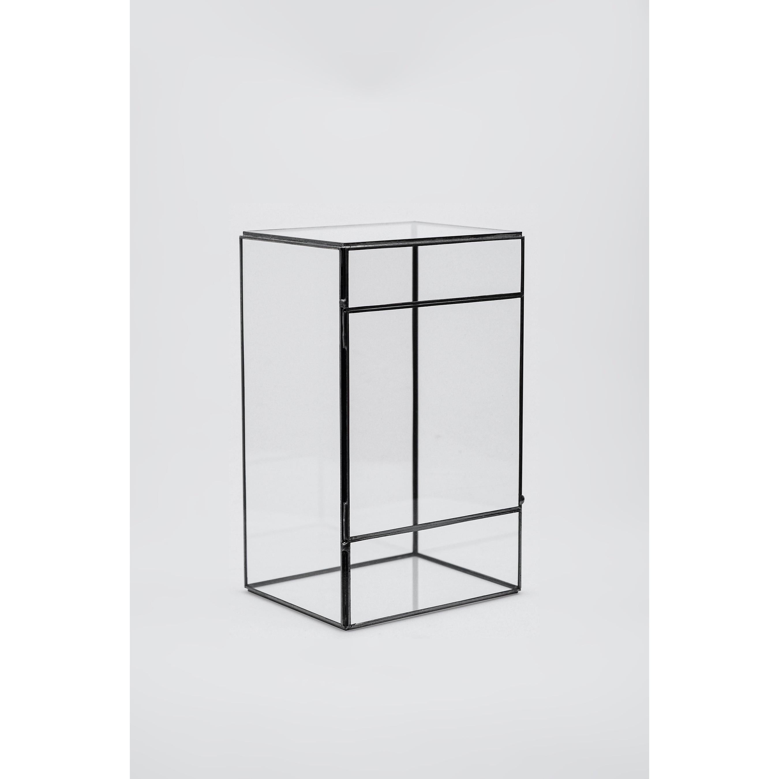 Cam Fanus | Geometrik Teraryum