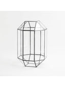 Cam Fanus | Geometrik Teraryum