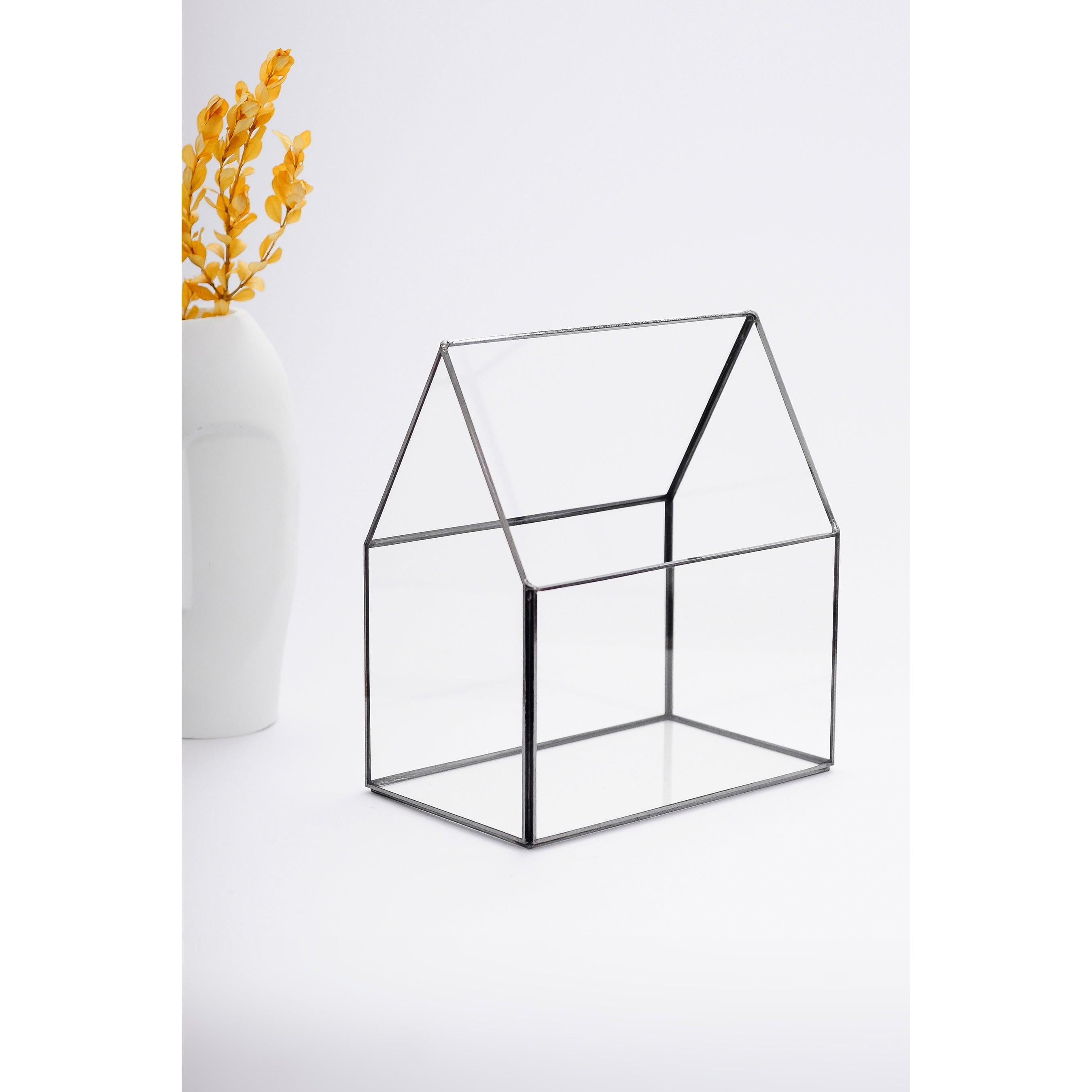 Cam Fanus | Geometrik Teraryum