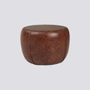 Chestnut Yan Sehpa
