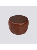 Chestnut Yan Sehpa