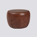 Chestnut Yan Sehpa