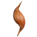 Coconut Sarmal Form Aplik