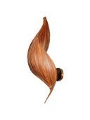 Coconut Sarmal Form Aplik
