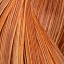 Coconut Sarmal Form Lambader