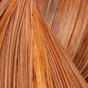 Coconut Sarmal Form Lambader
