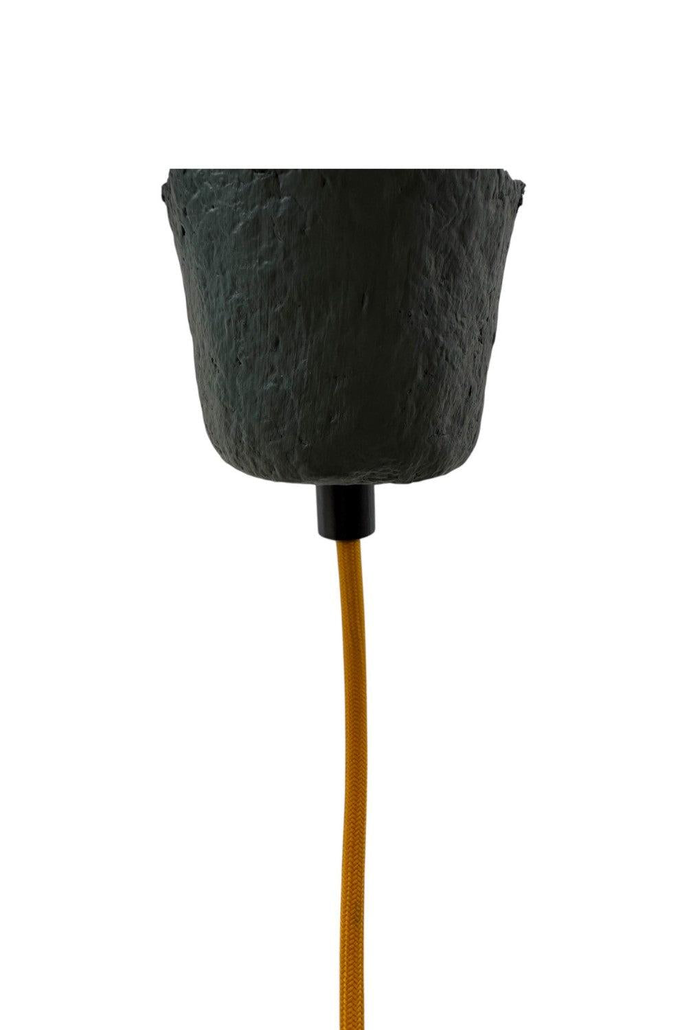 Coral Carnival Avize