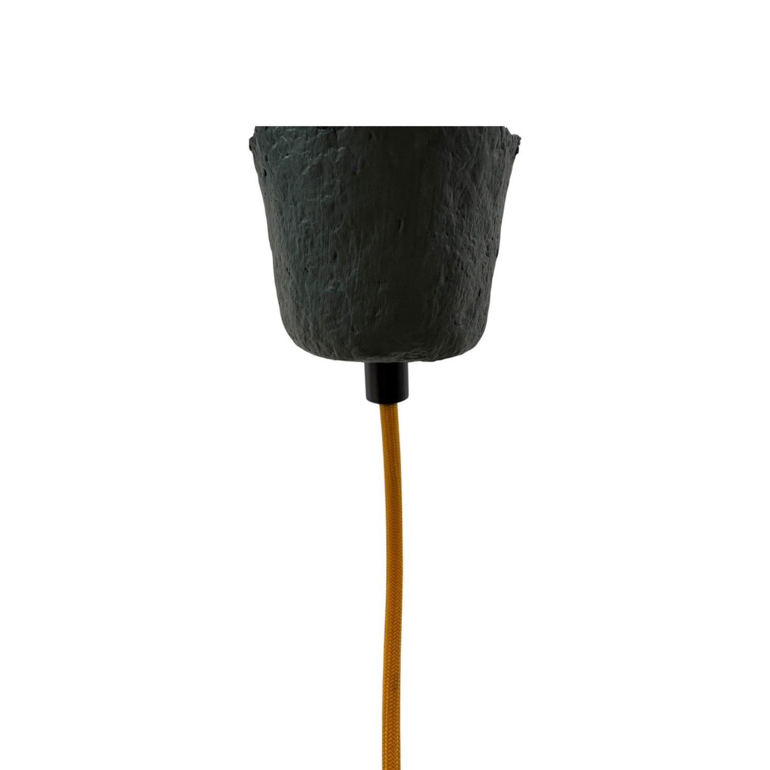 Coral Carnival Avize