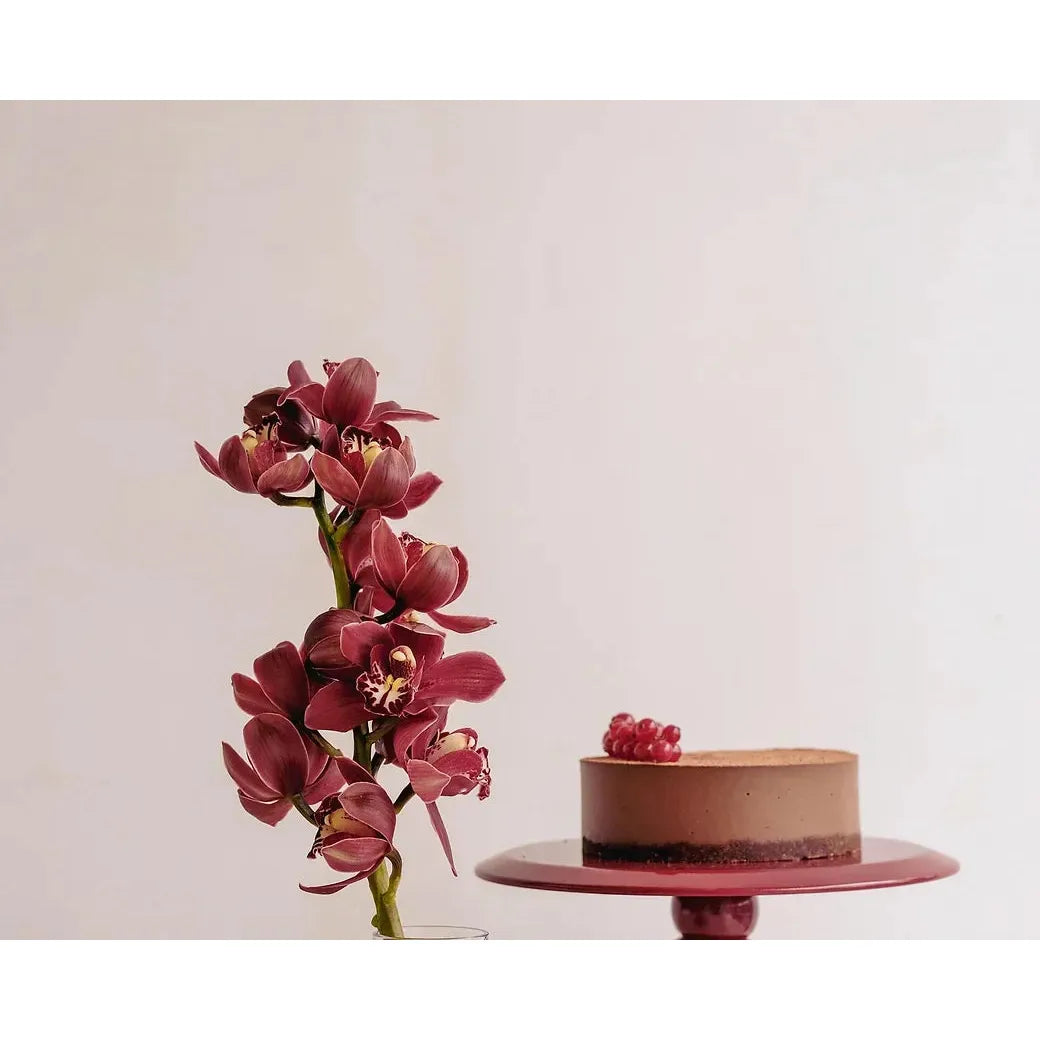 Crescendo Pasta Standı - Bej, Küçük