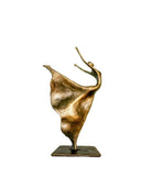 Dancer Heykel