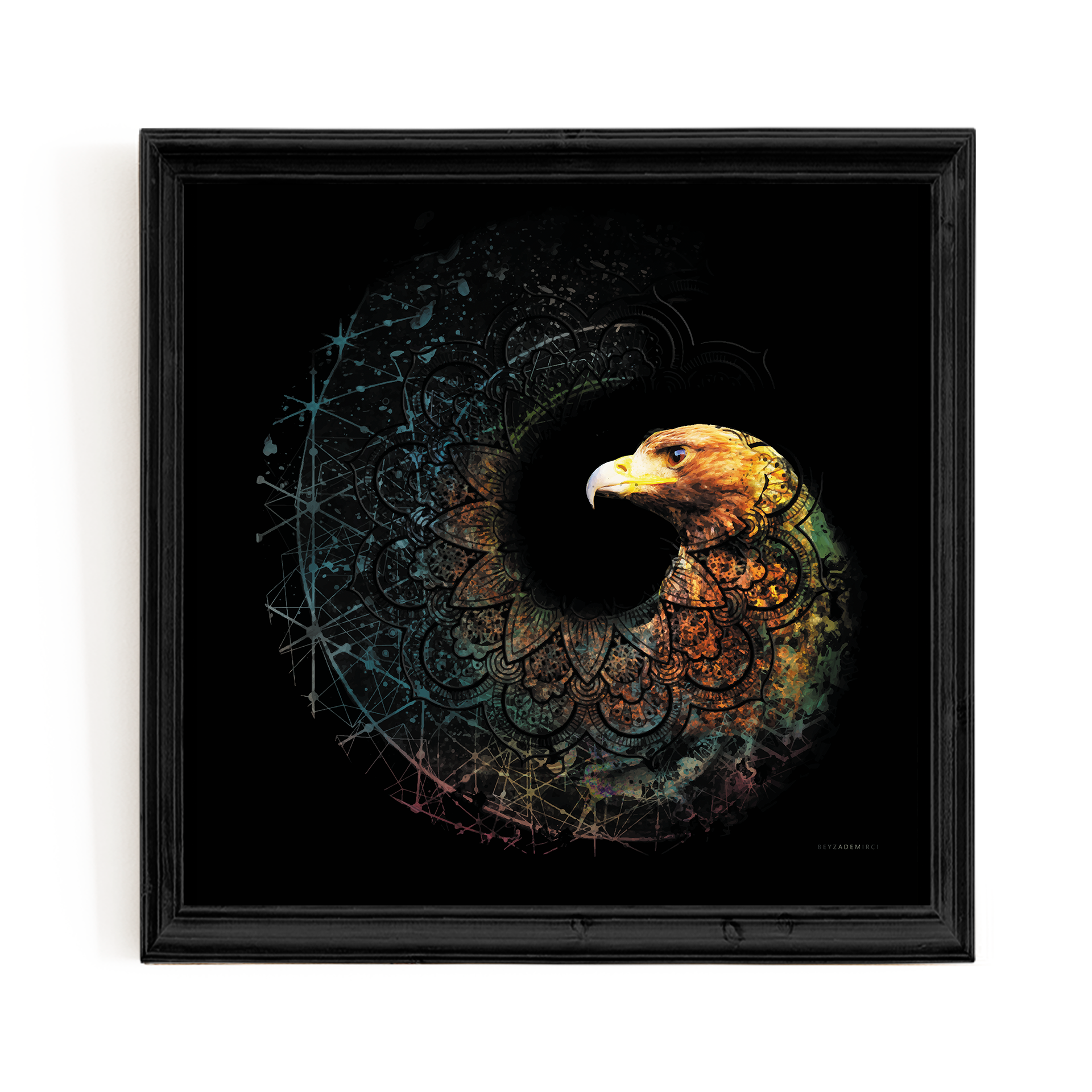 Dönüşen Şahin - Fine Art Baskı