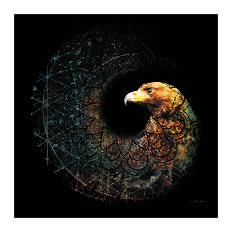 Dönüşen Şahin - Fine Art Baskı