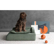 Dottie Pet Berjeri-Evcil Hayvan Yatağı-Lagu-Yeşil-NowShopFun