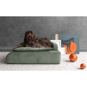 Dottie Pet Berjeri-Evcil Hayvan Yatağı-Lagu-Yeşil-NowShopFun