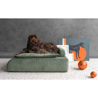 Dottie Pet Berjeri-Evcil Hayvan Yatağı-Lagu-Yeşil-NowShopFun
