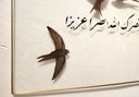 Ebabil Kuşlu Çerçeve Artwork