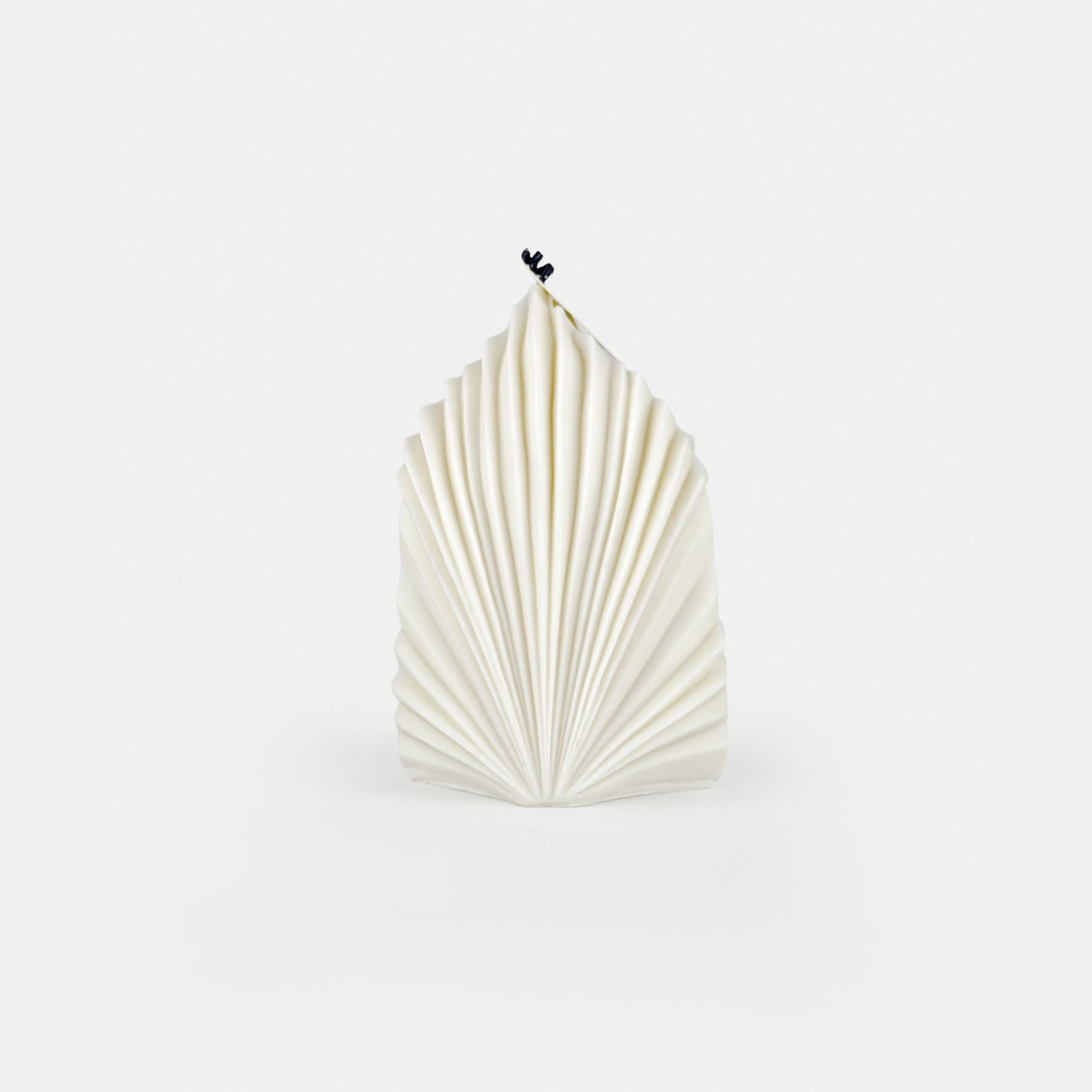 Echo Coral Dekor Mum