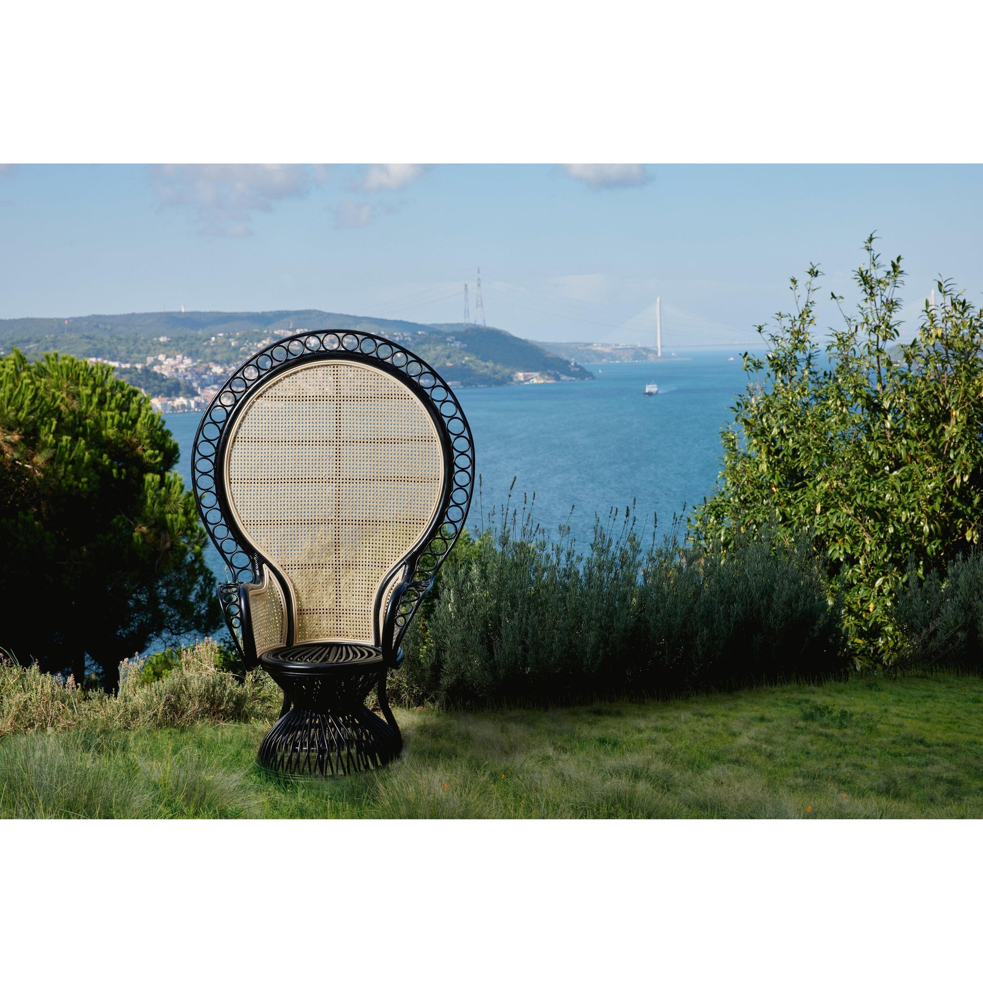 Emanuelle Rattan Koltuk