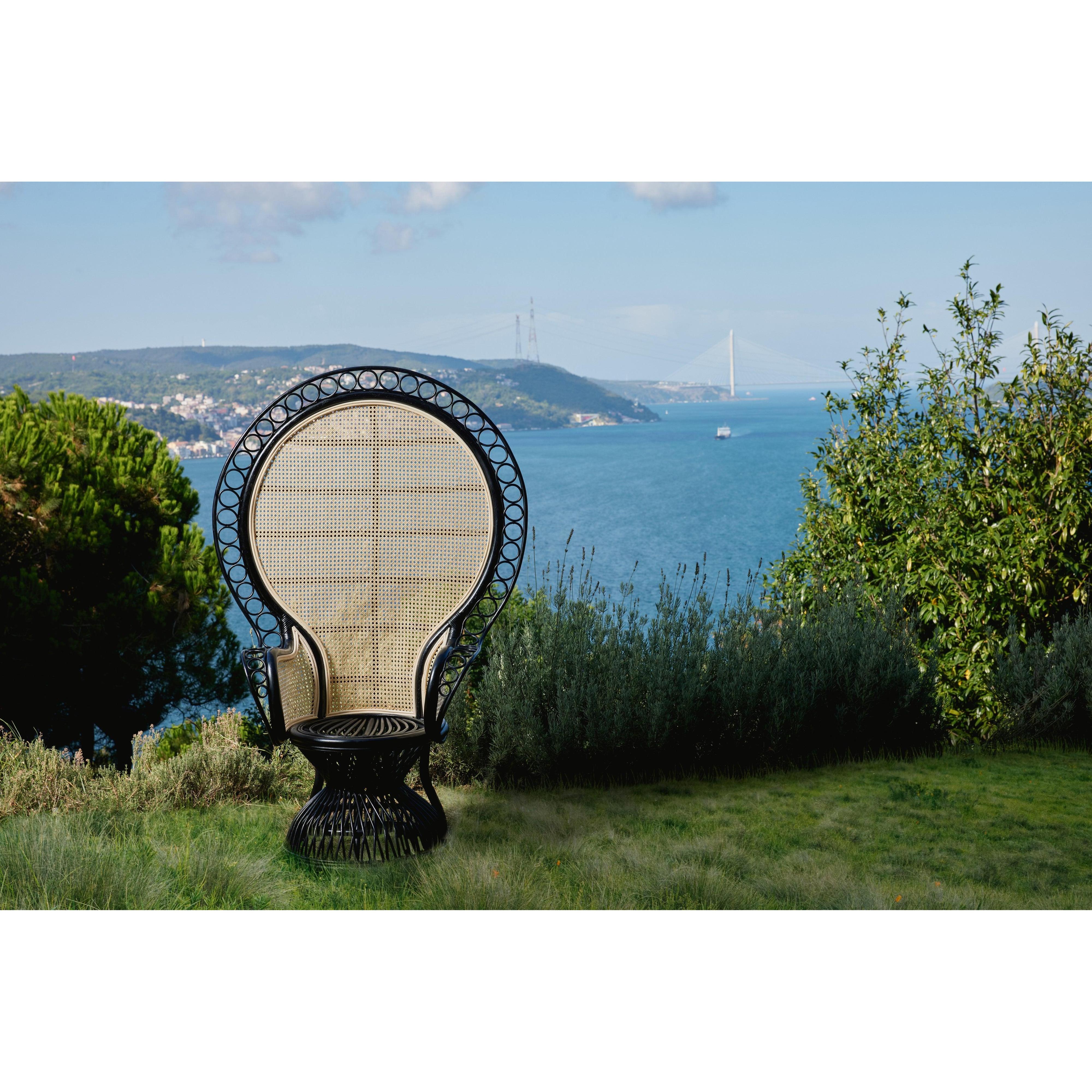 Emanuelle Rattan Koltuk