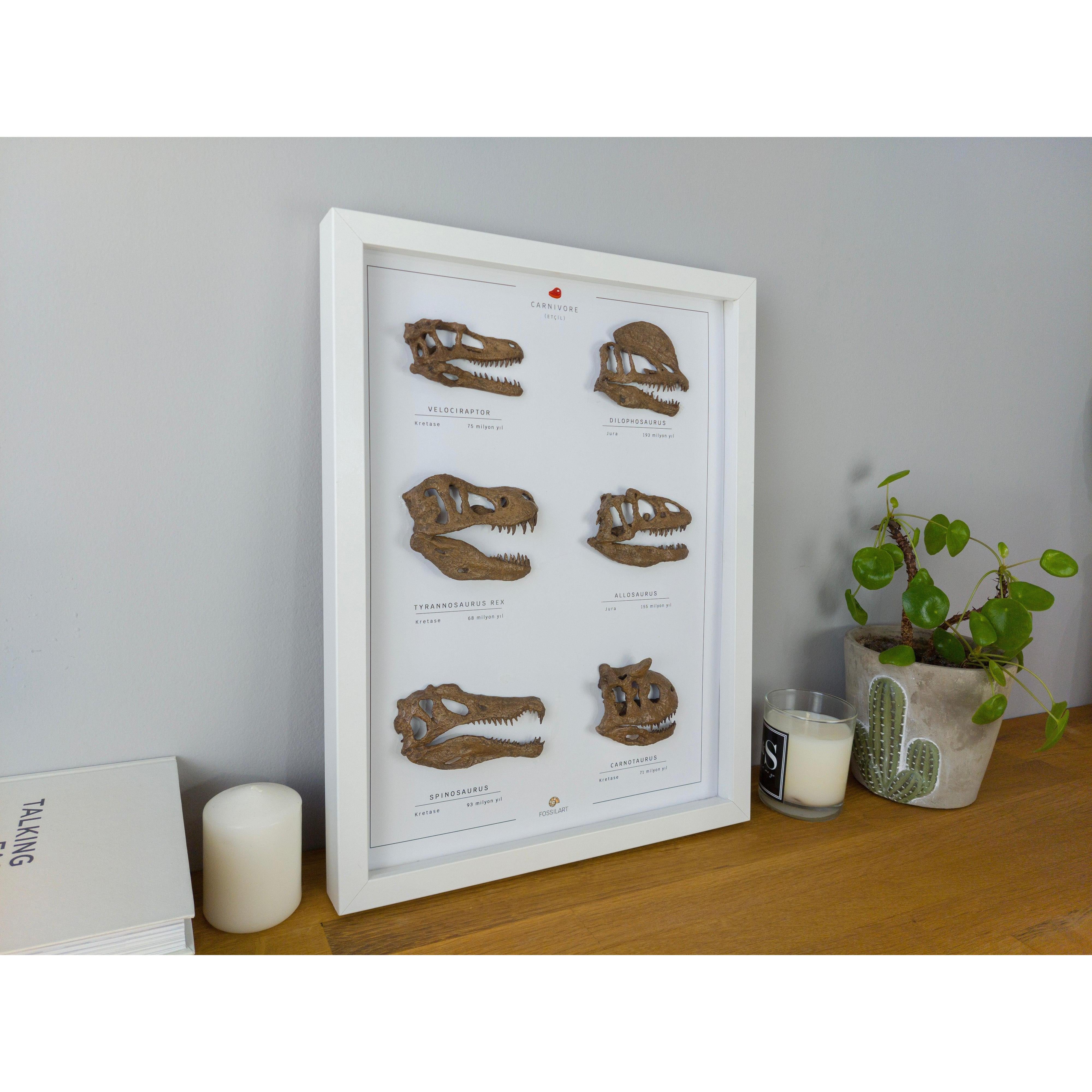 Etobur Dinozorlar 3 Boyutlu Çerçeve Tasarım