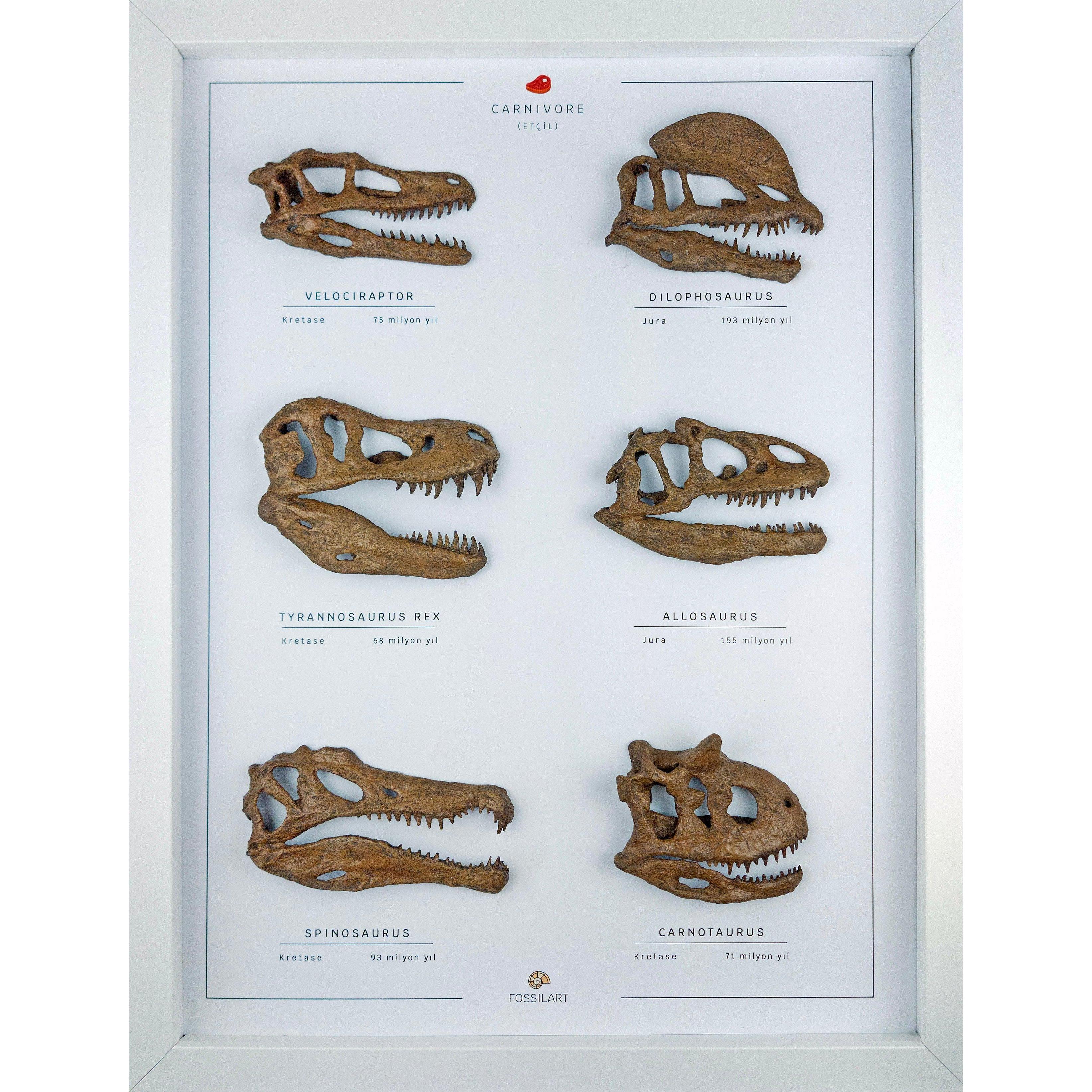 Etobur Dinozorlar 3 Boyutlu Çerçeve Tasarım