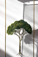 Fıstık Çamı Ağacı Artwork