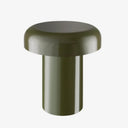 Fungi Metal Sehpa