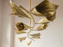 Gala Avize