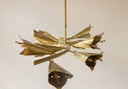 Gala Avize