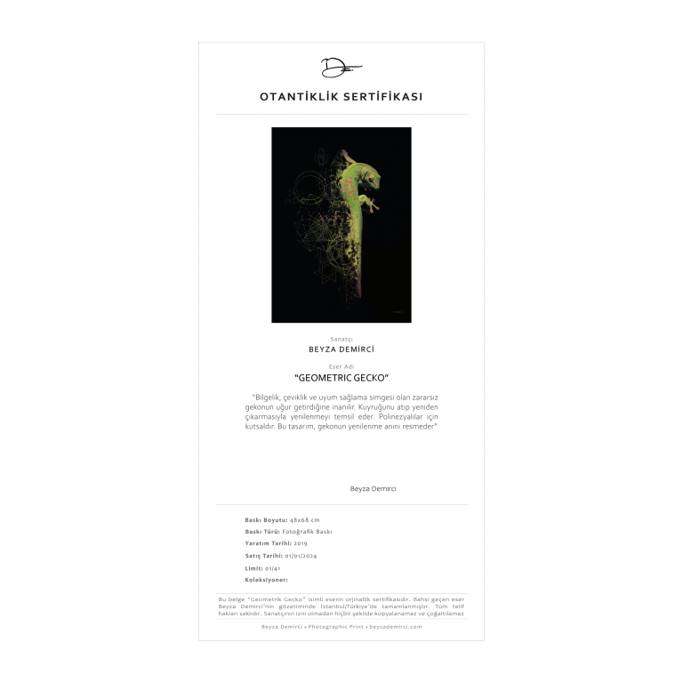 Geko - Fine Art Baskı