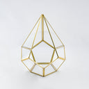Geometrik Teraryum | Cam Fanus