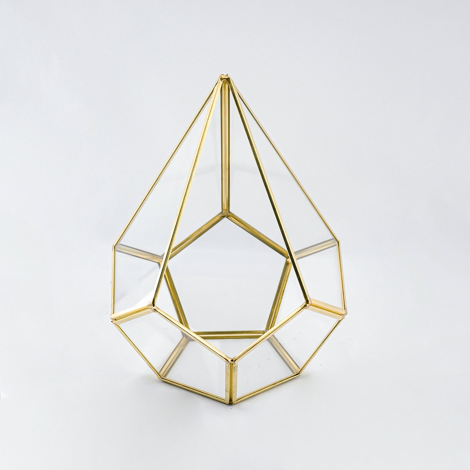 Geometrik Teraryum | Cam Fanus