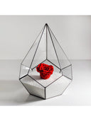 Geometrik Teraryum | Cam Fanus