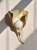 Gingko Aplik
