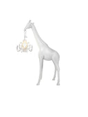 Giraffe In Love Xs Beyaz Masaüstü Aydınlatması