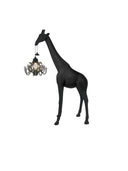 Giraffe In Love Xs Siyah Masaüstü Aydınlatması
