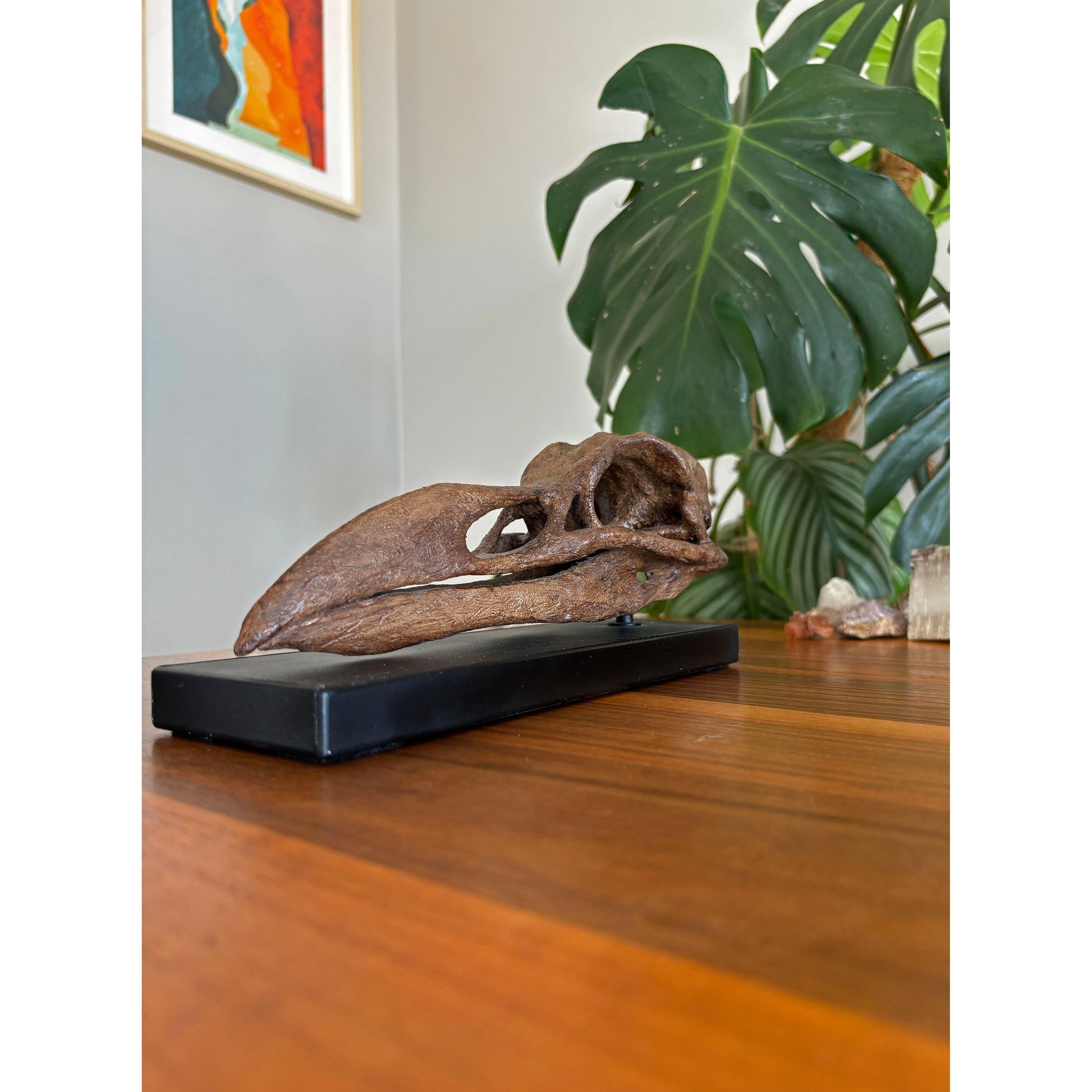 Great Auk Fosil Heykeli