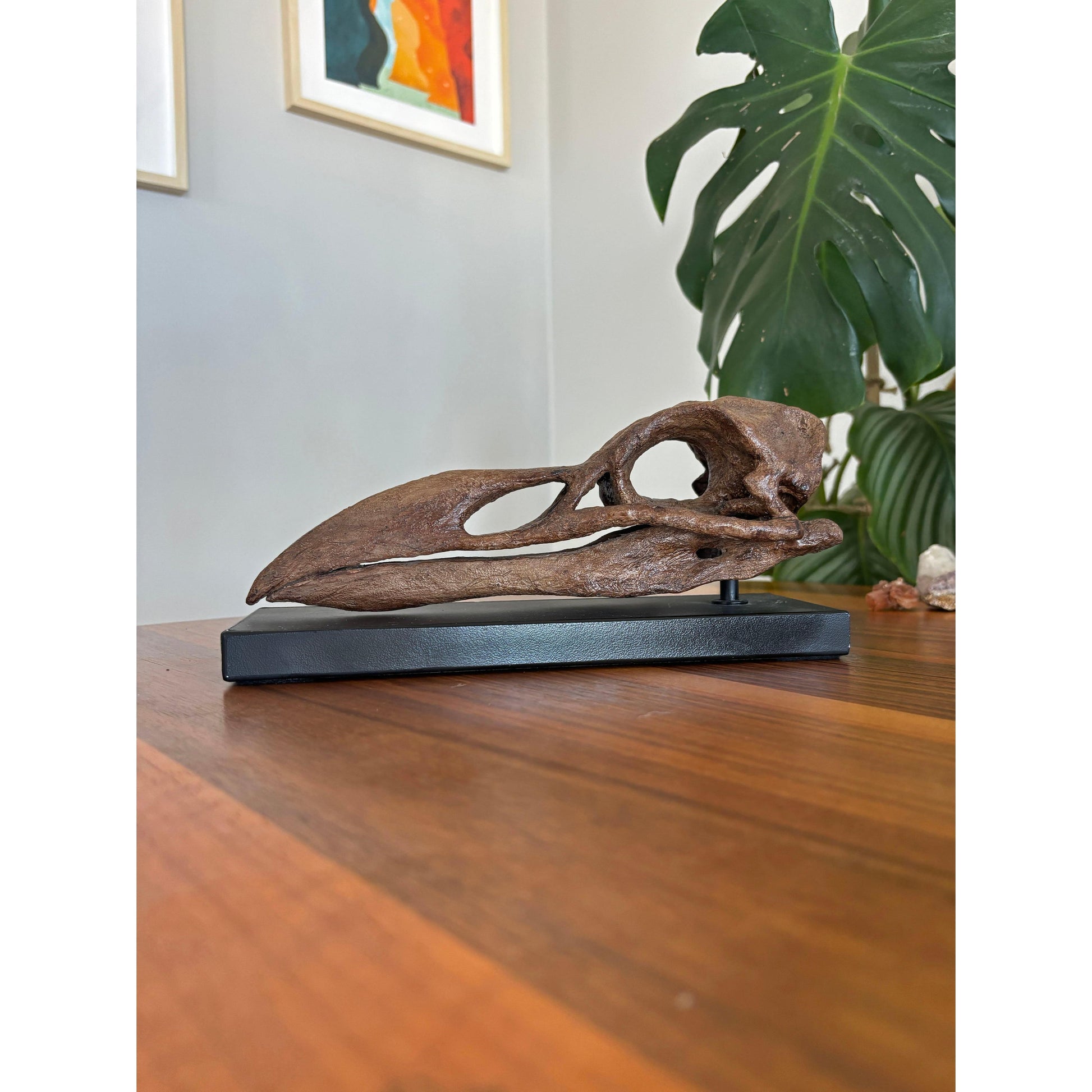 Great Auk Fosil Heykeli