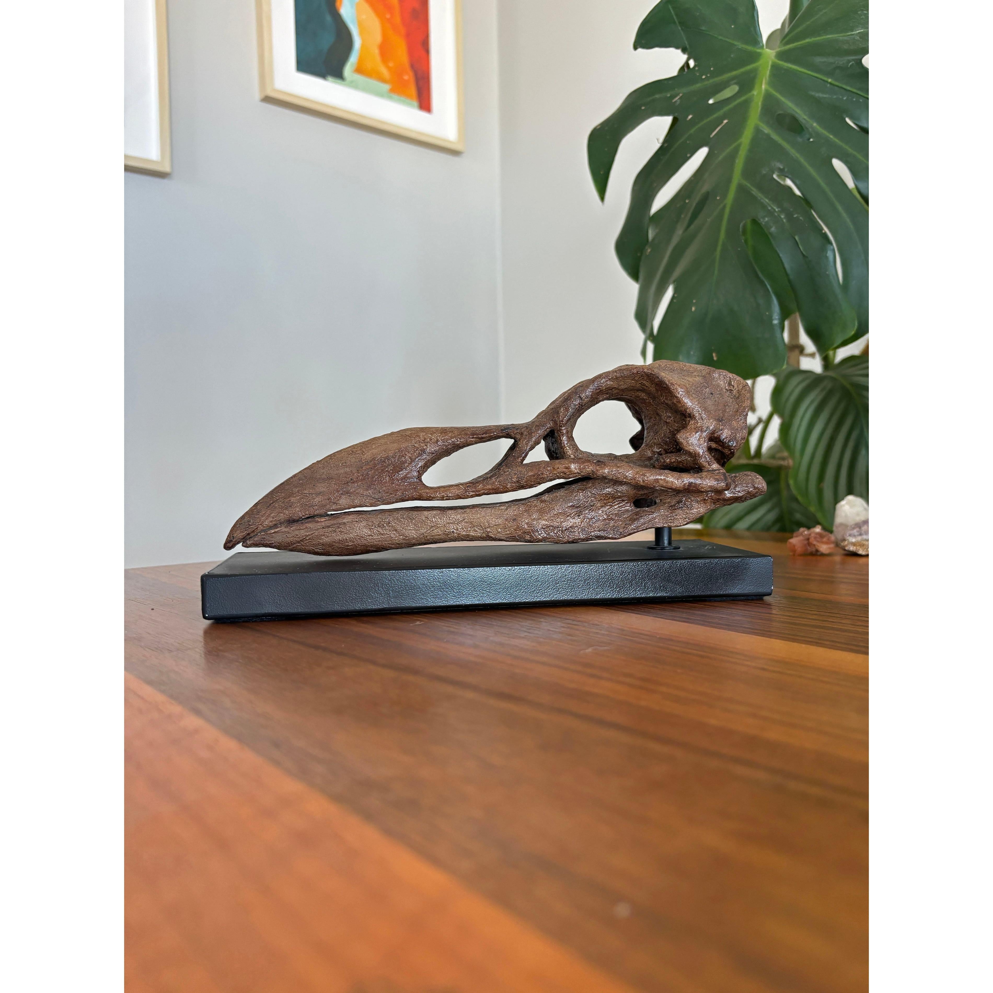 Great Auk Fosil Heykeli