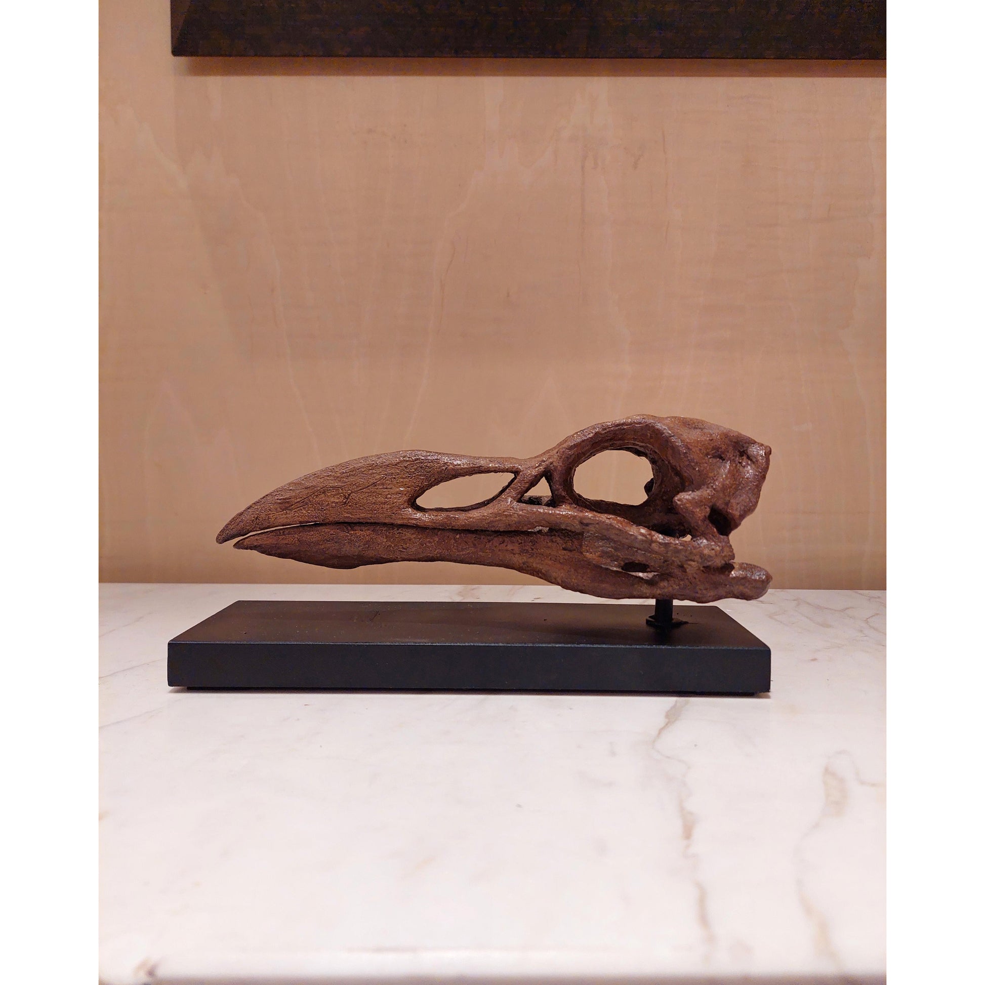 Great Auk Fosil Heykeli