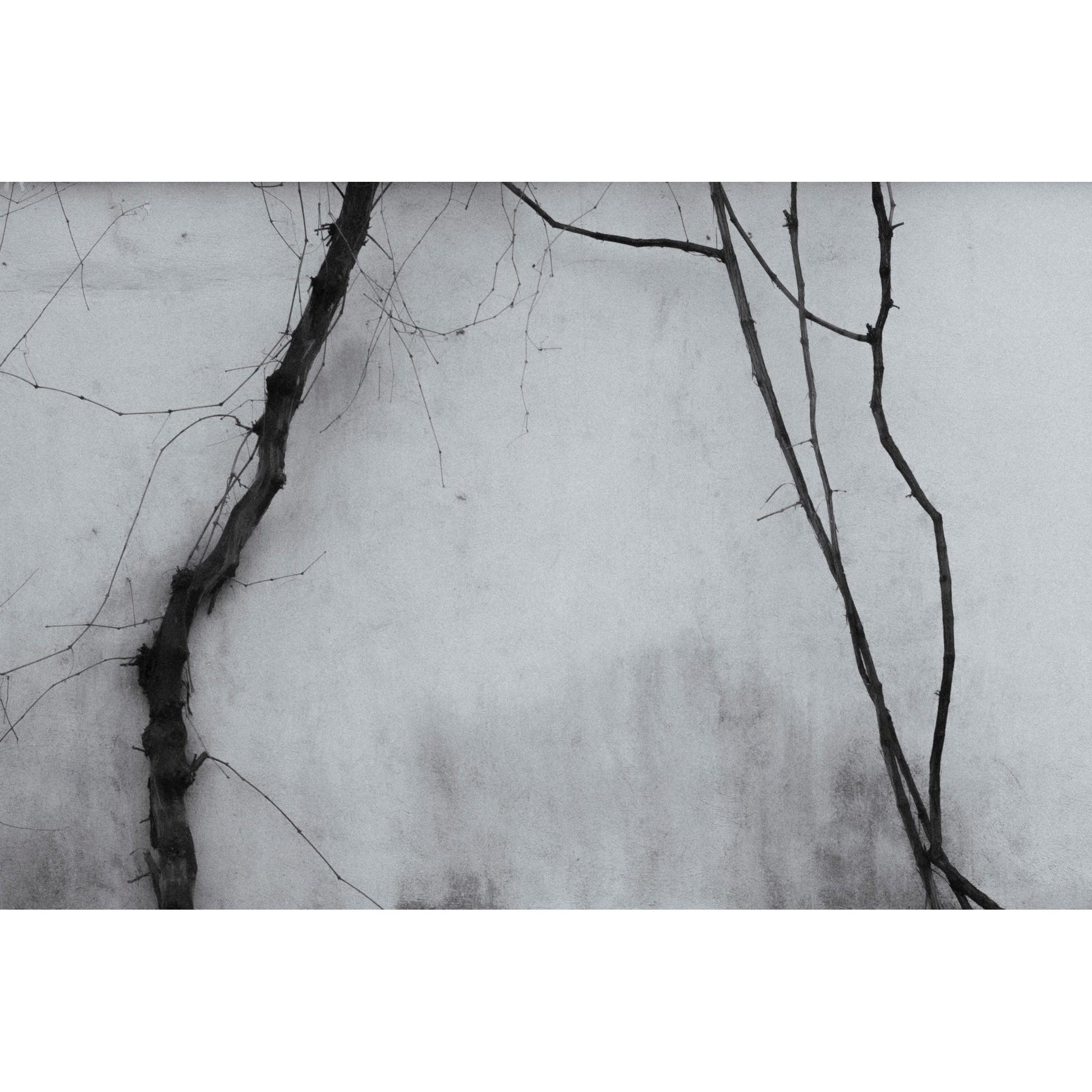 Hatıra Fine Art Fotoğraf Baskı