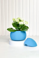 Hue Nest Mini Duvar Saksısı