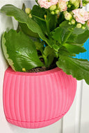 Hue Nest Mini Duvar Saksısı