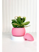 Hue Nest Mini Duvar Saksısı